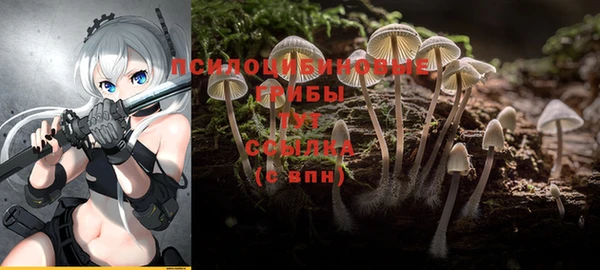 герыч Магадан