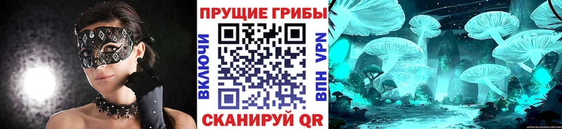 Купить закладки Козловка Галлюциногенные грибы Psilocybine cubensis